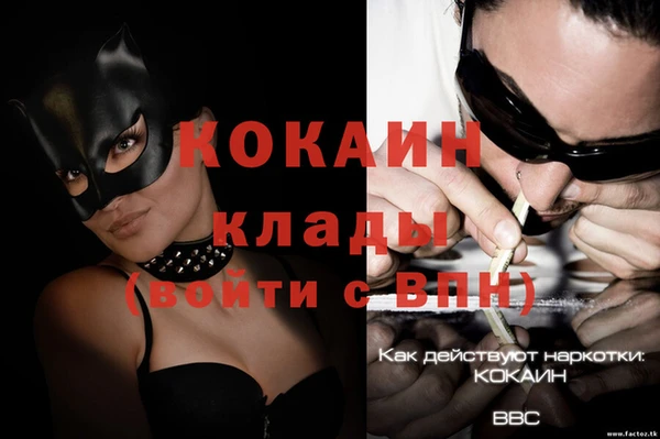 дмт Мегион