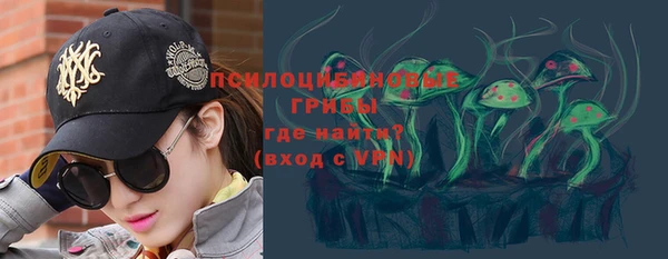 хмурый Алзамай