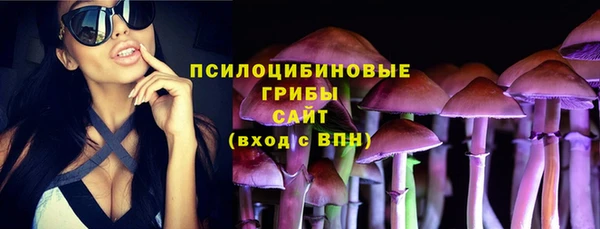 дмт Абинск