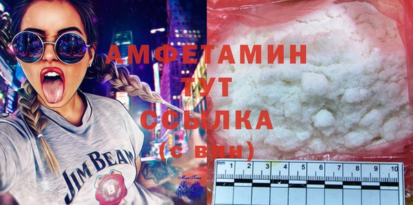хмурый Алзамай