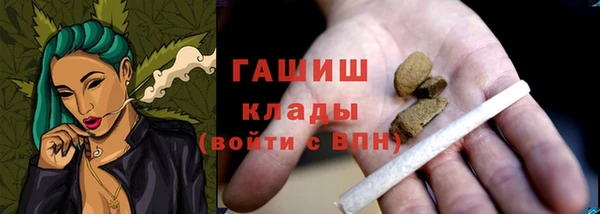 хмурый Алзамай