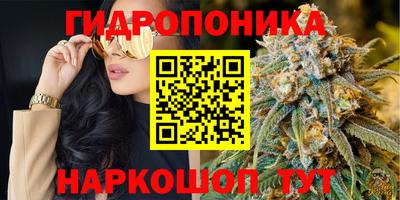гидра Балашиха