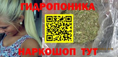гидра Балашиха