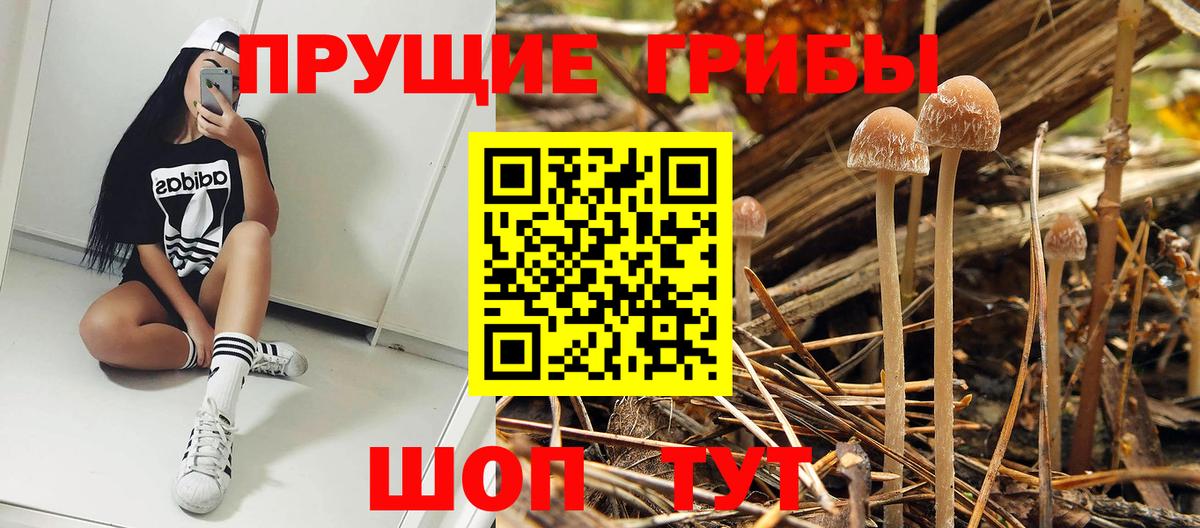 цены наркотик  Псилоцибиновые грибы мухоморы  Воронеж  Вход с VPN  Галлюциногенные грибы ЛСД 