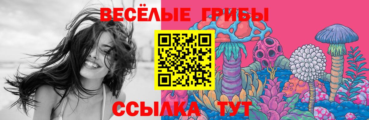 Псилоцибиновые грибы мицелий Воронеж